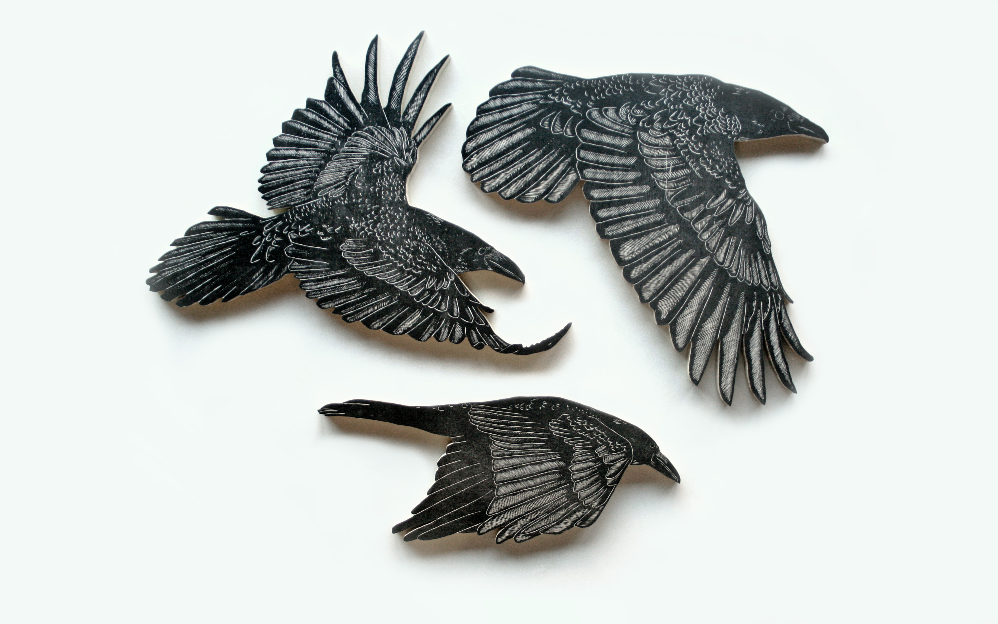 crows_nic_annette_miller_01